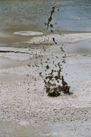 Wai-o-Tapu - Thermal Wonderland